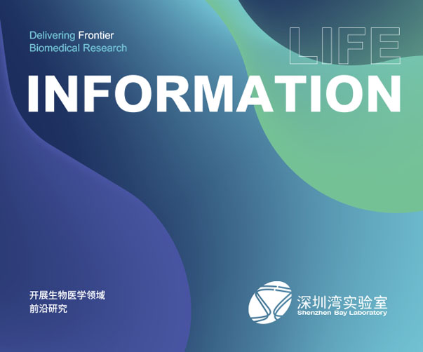 上海vi設計公司眼中的現代意大利餐廳的視覺識別設計