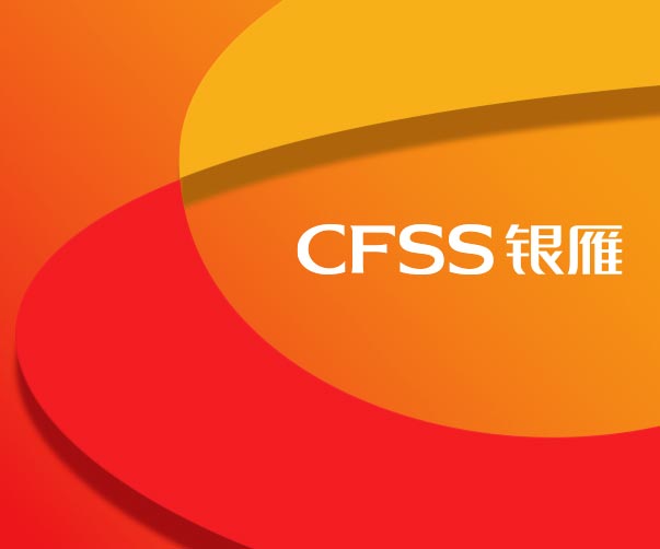 銀雁集團-中國金融外包服務開拓者與領導者